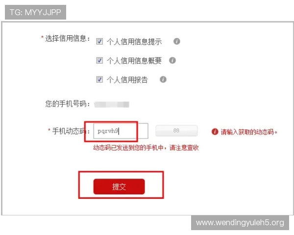问鼎注册游戏注册过程中遇到验证码无法输入怎么办完整解决方案